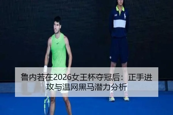 lu-nei-ruo-zai-nv-wang-bei-duo-guan-hou-zheng-shou-jin-gong-yu-wen-wang-hei-ma-qian-li-fen-xi-2-123.jpg