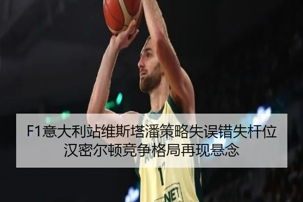 yi-da-li-zhan-wei-si-ta-pan-ce-lve-shi-wu-cuo-shi-gan-wei-han-mi-er-dun-jing-zheng-ge-ju-zai-xian-xuan-nian-2-822.jpg